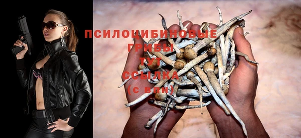 СК Абаза